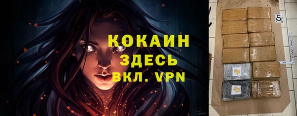 МДПВ Снежинск