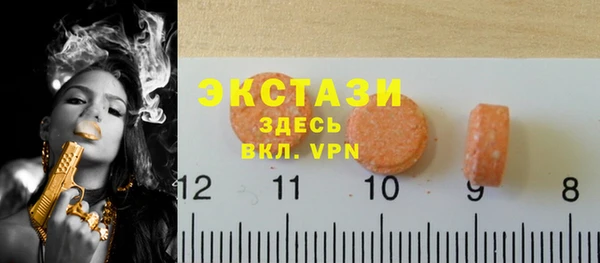 МДПВ Снежинск