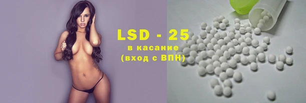 амф Алзамай