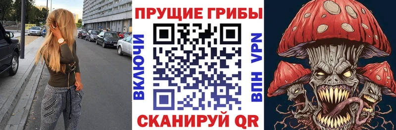 Галлюциногенные грибы Cubensis  OMG онион  Ишим  продажа наркотиков 