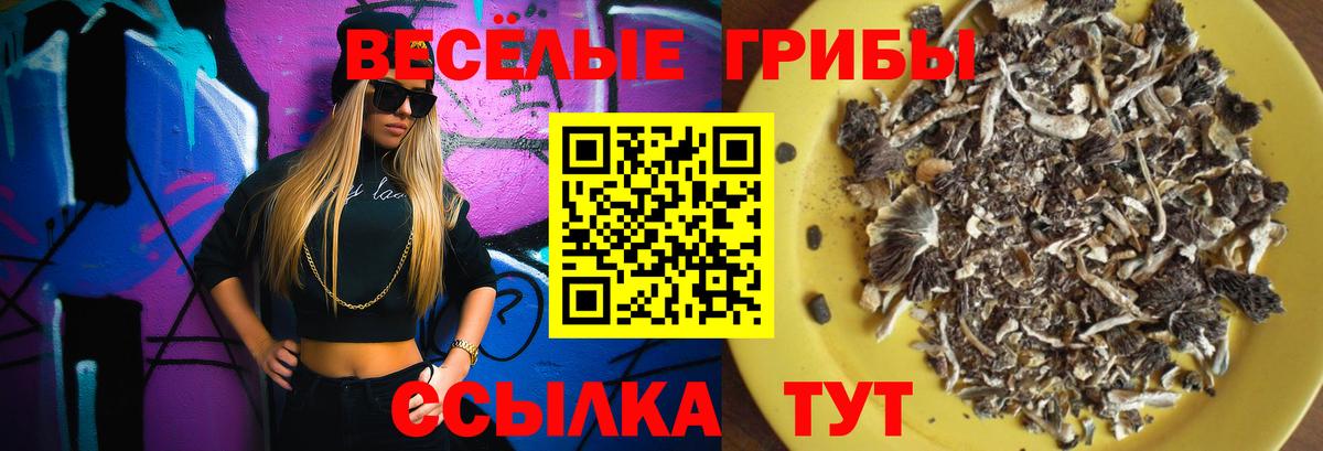 Галлюциногенные грибы ЛСД Ишим